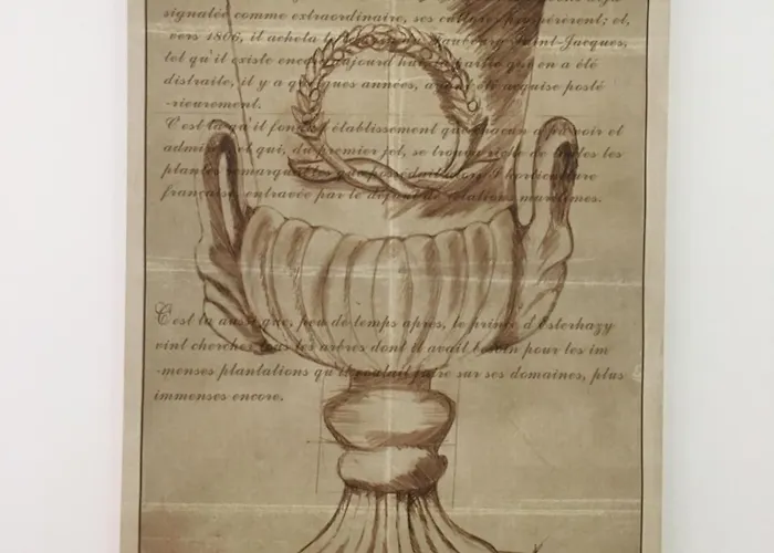 Couette-café La Finestra Sul Colosseo 1